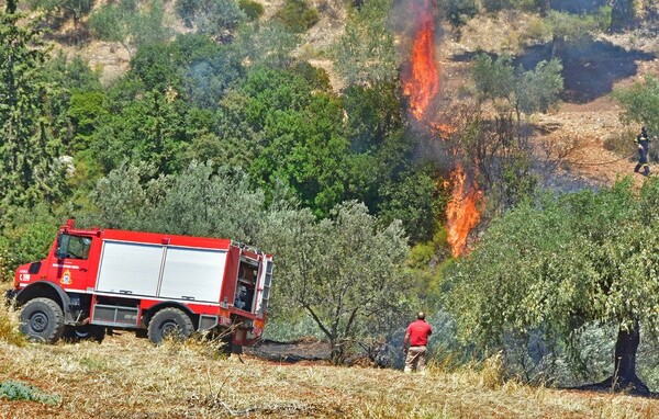 Σε εξέλιξη πυρκαγιές σε Δοκό Ευβοίας και Πρόδρομο Θηβών