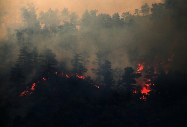 Αναζωπυρώθηκε σε τρία μέτωπα η πυρκαγιά στην Κύπρο