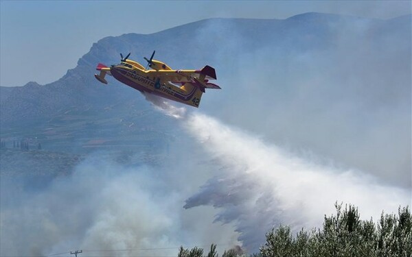 Ανεξέλεγκτη καίει πυρκαγιά στο Σελάκανο Ιεράπετρας Λασιθίου