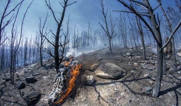 Σε εξέλιξη η φωτιά στα Μέγαρα