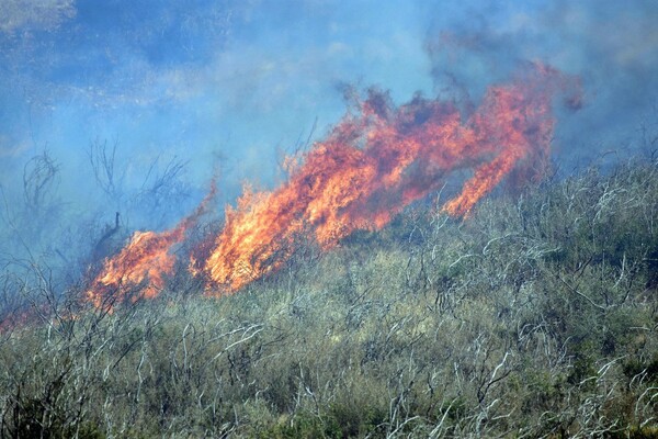 Χανιά: Μεγάλη πυρκαγιά στα Φαλάσαρνα Κισάμου