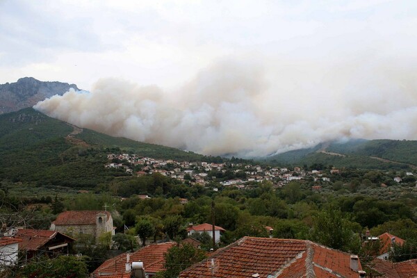 Χρηματοδότηση για έργα που θα θωρακίσουν το νησί από τις πυρκαγιές διεκδικεί η Θάσος