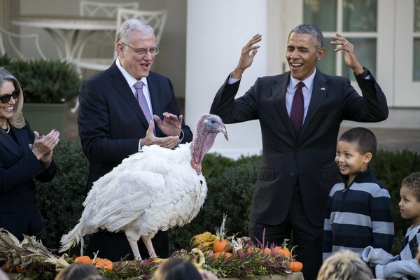 O Oμπάμα δίνει χάρη στις γαλοπούλες για το Thanksgiving