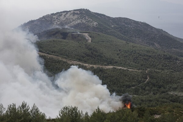 Η Θάσος στις φλόγες - Φωτογραφίες από την καταστροφή που συνεχίζεται για δεύτερη μέρα