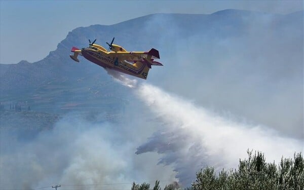 Yπό μερικό έλεγχο η φωτιά στην Κύμη, πυρκαγιά ξέσπασε στην Ακράτα