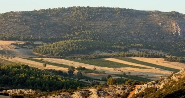 Ο φετινός ΕΝΦΙΑ θα εξοφληθεί σε 5 δόσεις - Eκτός συμπληρωματικού ΕΝΦΙΑ τα αγροτεμάχια