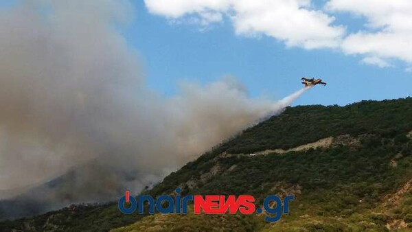 Μάχη με τις φλόγες σε 4 πύρινα μέτωπα - Σε ύφεση οι πυρκαγιές σε Εύβοια και Κέα