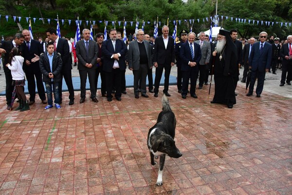 Τα απρόοπτα των παρελάσεων