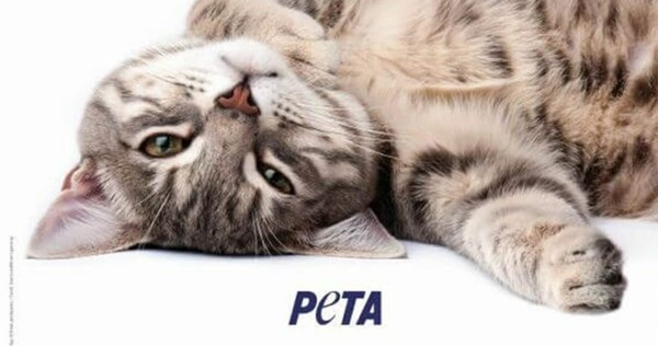 Η Peta διχάζει με την καμπάνια " Grab a pussy", εμπνευσμένη από τις χυδαίες εκφράσεις του Τραμπ