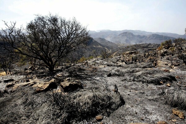 Αν η θερμοκρασία της Γης ανέβει 3 βαθμούς, οι καμένες εκτάσεις στη Μεσόγειο θα αυξηθούν κατά 100%