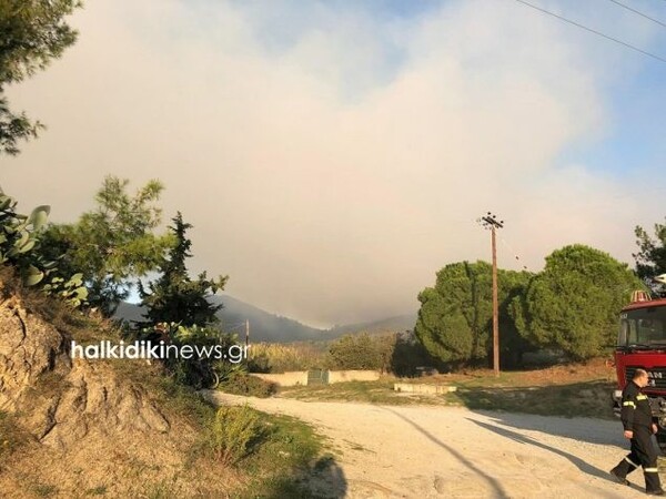 Ανεξέλεγκτη η πυρκαγιά στην Σιθωνία Χαλκιδικής- Στα 3 χιλιόμετρα έχουν απλωθεί οι φλόγες