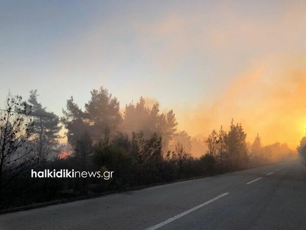 Ανεξέλεγκτη η πυρκαγιά στην Σιθωνία Χαλκιδικής- Στα 3 χιλιόμετρα έχουν απλωθεί οι φλόγες