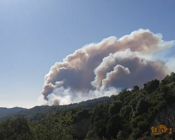 Ανεξέλεγκτη η πυρκαγιά στην Σιθωνία Χαλκιδικής- Στα 3 χιλιόμετρα έχουν απλωθεί οι φλόγες