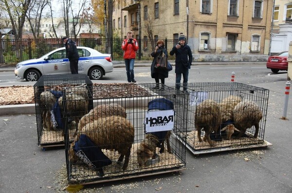 Άφησαν κλουβιά με πρόβατα και γιλέκα έξω από τα γραφεία ρωσικής εφημερίδας