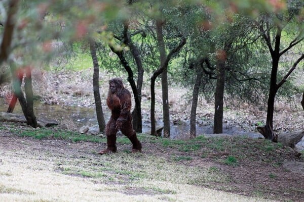 Τον πυροβόλησε γιατί πίστευε πως ήταν ο Bigfoot