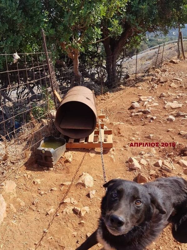 Tα βαρελόσκυλα στα Σεϊτάν Λιμάνια- Ένα έγκλημα χωρίς τέλος