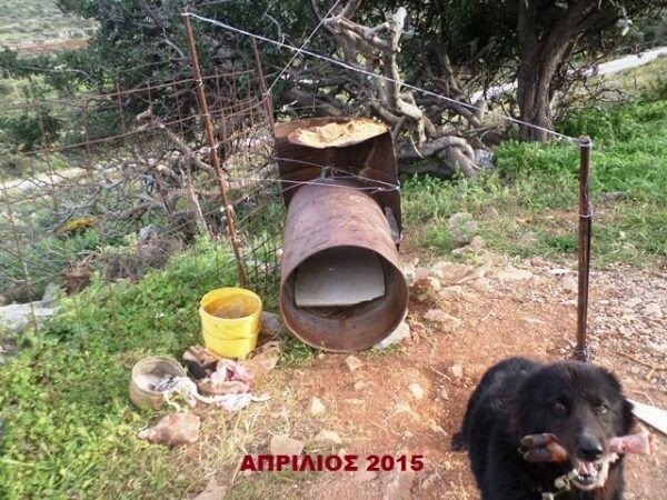 Tα βαρελόσκυλα στα Σεϊτάν Λιμάνια- Ένα έγκλημα χωρίς τέλος