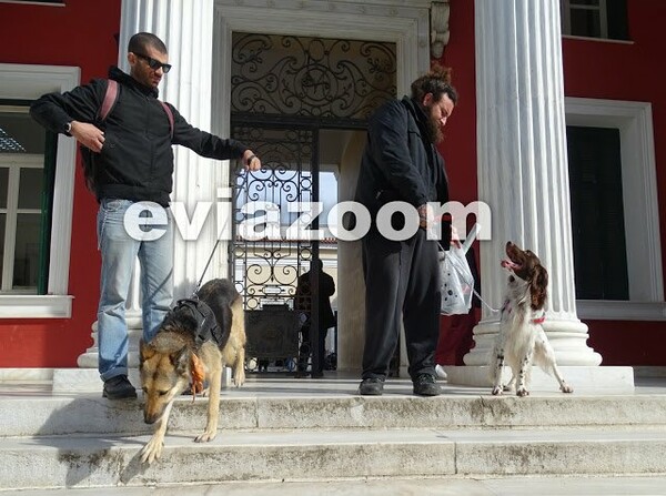 Καταδικάστηκε ο ιδιοκτήτης ταβέρνας που σκότωσε κουτάβι με καρέκλα