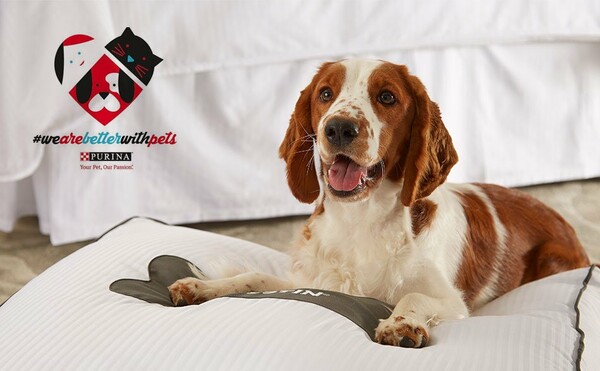 #WeAreBetterWithPets Weekend powered by PURINA®