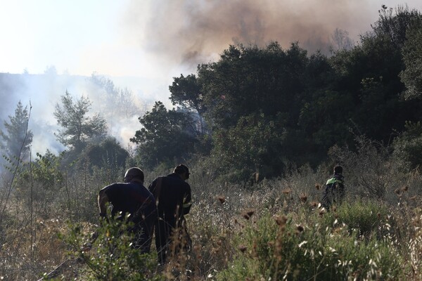 Φωτογραφίες από την καταστροφική πυρκαγιά σε Κάλαμο και Βαρνάβα - Πύρινο μέτωπο 25 χλμ