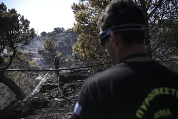 Πυρκαγιά στο Κρυονέρι Αττικής