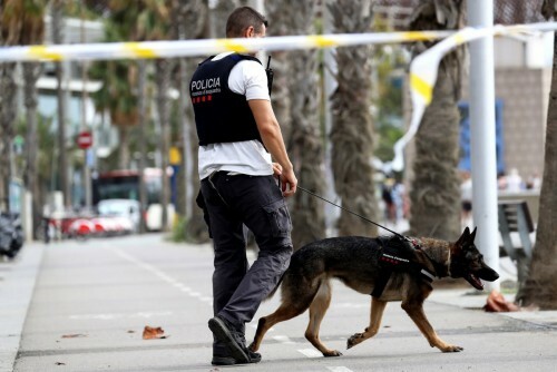 Βρετανία: Πρόσθετοι έλεγχοι στους ενοικιαστές αυτοκινήτων μετά τις τρομοκρατικές επιθέσεις