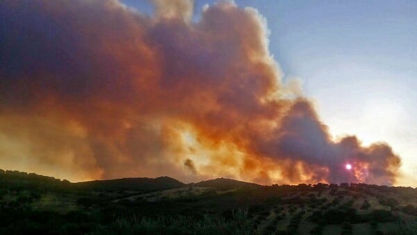 Κύθηρα: Οριοθετήθηκε το μεγαλύτερο μέρος της πυρκαγιάς- Μαίνεται το μέτωπο κοντά στην Ιερά Μονή Μυρτιδίων