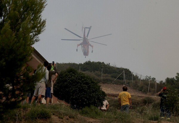 Φωτογραφίες από την καταστροφική πυρκαγιά σε Κάλαμο και Βαρνάβα - Πύρινο μέτωπο 25 χλμ