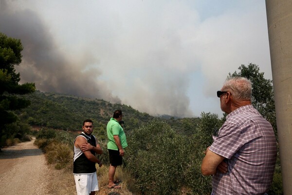 Φωτογραφίες από την καταστροφική πυρκαγιά σε Κάλαμο και Βαρνάβα - Πύρινο μέτωπο 25 χλμ