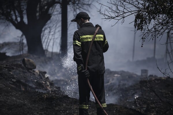 Υπό μερικό έλεγχο η πυρκαγιά στη Μεσσηνία