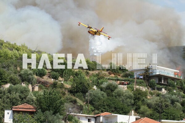 Συγκλονιστική «βουτιά» ενός πιλότου Καναντέρ για να σώσει σπίτι στα Ροδινά Ηλείας