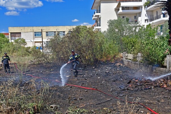 Σε εξέλιξη η πυρκαγιά στο Κρυονέρι-Δεν κινδυνεύουν σπίτια