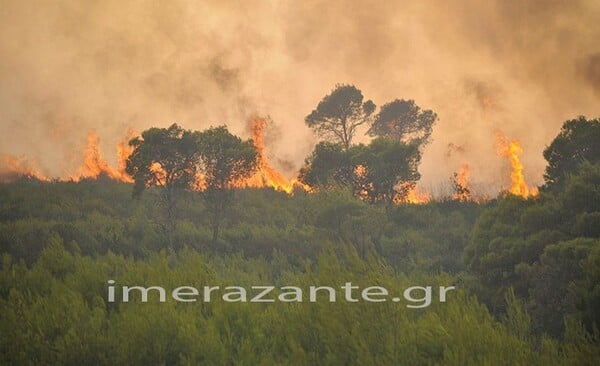 Φωτιά στη Ζάκυνθο: Εντοπίστηκαν δύο ύποπτοι ως εμπρηστές από ελικόπτερο - Σε εξέλιξη επιχείρηση καταδίωξης