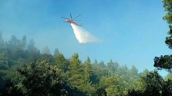 Σε αυτές τις περιοχές είναι υψηλός ο κίνδυνος πυρκαγιάς σήμερα