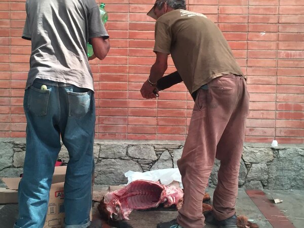 Σοκάρουν οι φωτογραφίες κατοίκων της Βενεζουέλας που σφαγιάζουν σκυλιά στη μέση του δρόμου για να φάνε