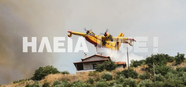 Συγκλονιστική «βουτιά» ενός πιλότου Καναντέρ για να σώσει σπίτι στα Ροδινά Ηλείας