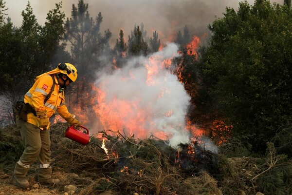 Στους 43 νεκρούς αυξήθηκε ο απολογισμός των πυρκαγιών στην Πορτογαλία-Κάηκαν πάνω από 5 εκ. στρέμματα