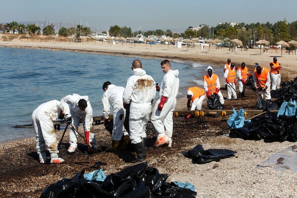 Πρόεδρος Εταιρείας Τοξικολογίας: Σε δύο χρόνια θα καθαρίσουν οι θάλασσες