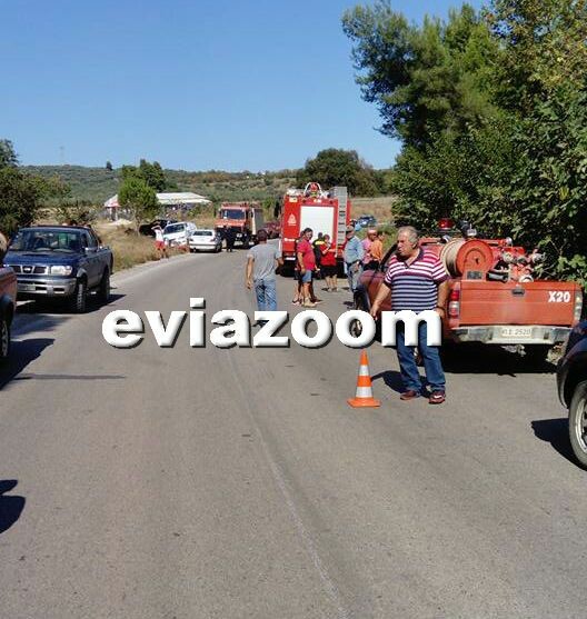 Τραγικό δυστύχημα στην Εύβοια: Νεκρός ο οδηγός που έπεσε από γέφυρα