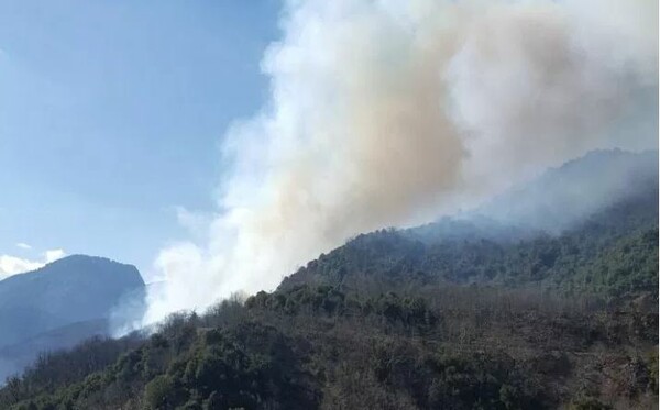 Τρίκαλα: Μια ηλικιωμένη ευθύνεται για την πυρκαγιά σε δάσος στις Λογγιές