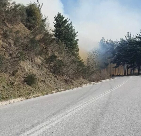 Τρίκαλα: Μια ηλικιωμένη ευθύνεται για την πυρκαγιά σε δάσος στις Λογγιές