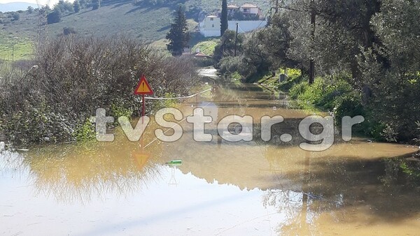 Σε κατάσταση έκτακτης ανάγκης η Χαλκίδα- Κάτοικοι εγκαταλείπουν τα σπίτια τους