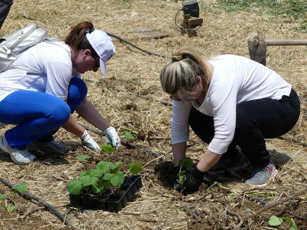 Responsib’ALL Day 2019: Περιβαλλοντική Δράση για τους εργαζόμενους της Pernod Ricard Hellas