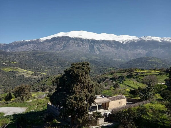 Amari Green Festival 2019: Η μεγάλη γιορτή του κρητικού Πολιτισμού