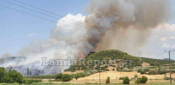 Φωτιά στη Φθιώτιδα - Κοντά σε σπίτια οι φλόγες