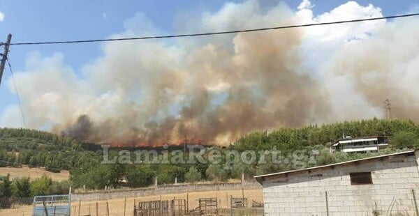 Φωτιά στη Φθιώτιδα - Κοντά σε σπίτια οι φλόγες