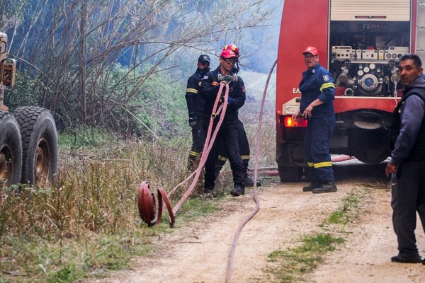 Σε εξέλιξη πυρκαγιά κοντά σε γήπεδο στη Φυλή