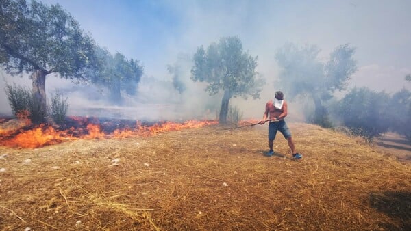 Συναγερμός για πυρκαγιά κοντά σε σπίτια στο Ναύπλιο - Μεγάλη κινητοποίηση