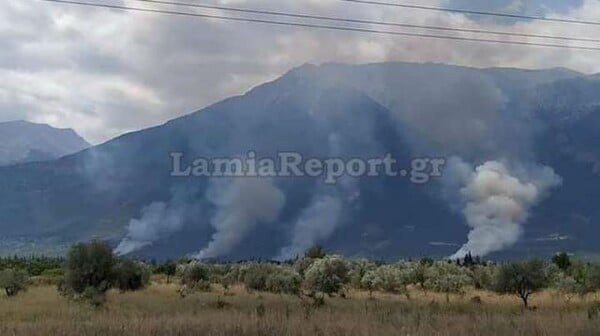 Πυρκαγιά στην Τιθορέα Φθιώτιδας - Μεγάλη κινητοποίηση της πυροσβεστικής