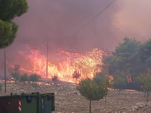 Εκτός ελέγχου η πυρκαγιά στην Ζάκυνθο - Ορατός από δορυφόρο ο καπνός